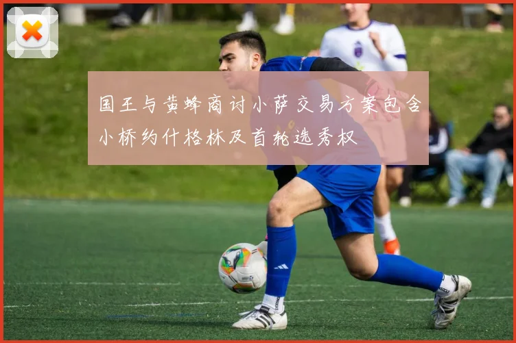 国王与黄蜂商讨小萨交易方案包含小桥约什格林及首轮选秀权