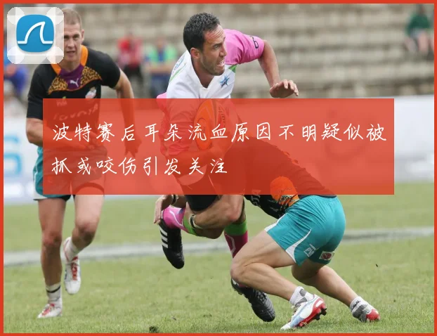 波特赛后耳朵流血原因不明疑似被抓或咬伤引发关注